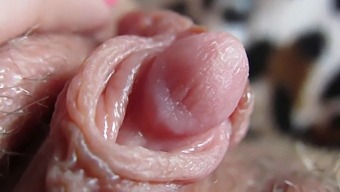 Get Up Close And Personal With My Huge, Throbbing Clit Head