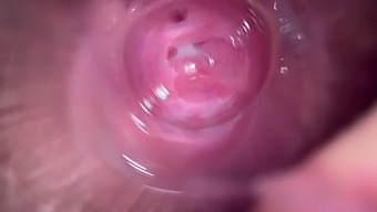 Hd Video Of A Tight Teen'S Wet And Creamy Pussy